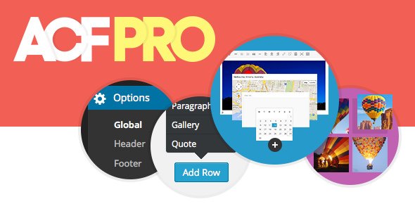 Advanced Custom Fields Pro v5.9.1