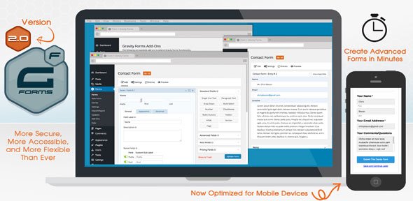 Gravity Forms v2.4.18.83