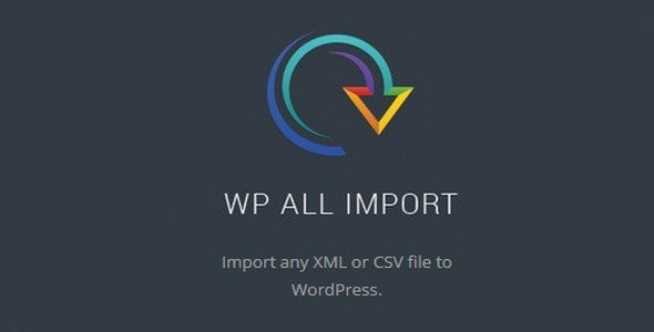 WP All Import Pro v4.6.2