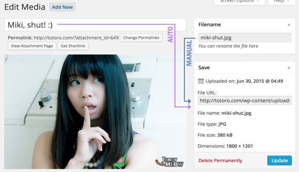 Media File Renamer Pro v5.0.2