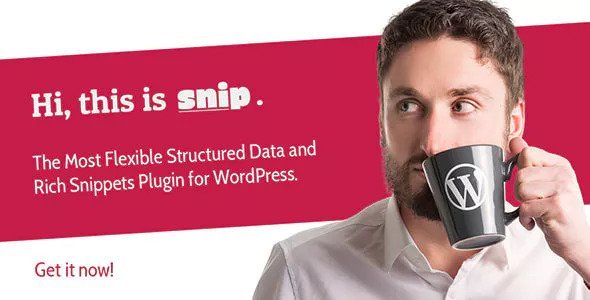 SNIP v2.17.3 - Structured Data Plugin for WordPress