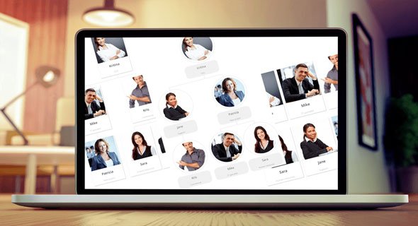 WP Team Display v1.3.21 - The Organization Chart WordPress Plugin