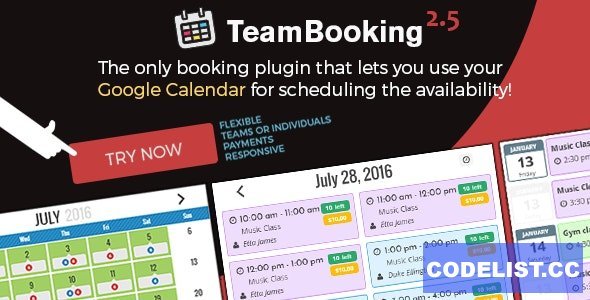 Team Booking v2.5.8 - WordPress booking system