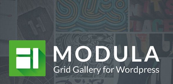 Modula Pro v2.8.9 - Best WordPress Image Gallery